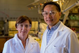 Rice U.’s one-step catalyst turns nitrates into water and air