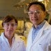 Rice U.’s one-step catalyst turns nitrates into water and air